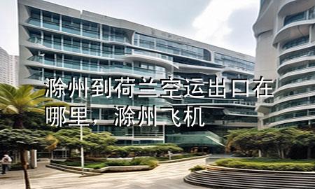 滁州到荷兰空运出口在哪里,滁州飞机