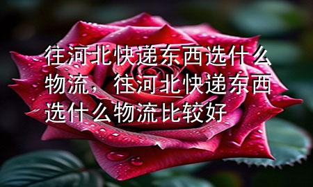 往河北快递东西选什么物流,往河北快递东西选什么物流比较好