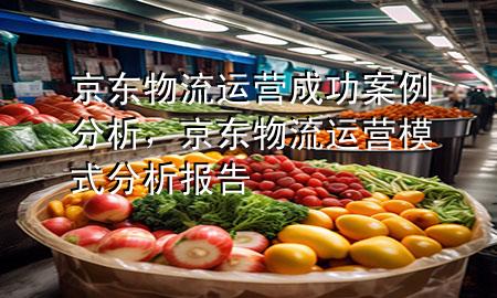 京东物流运营成功案例分析，京东物流运营模式分析报告