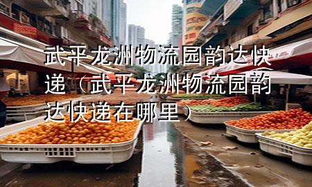 武平龙洲物流园韵达快递(武平龙洲物流园韵达快递在哪里)