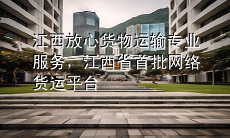 江西放心货物运输专业服务,江西省首批网络货运平台