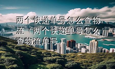 两个快递单号怎么查物流(两个快递单号怎么查物流单号)
