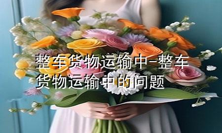 整车货物运输中-整车货物运输中的问题