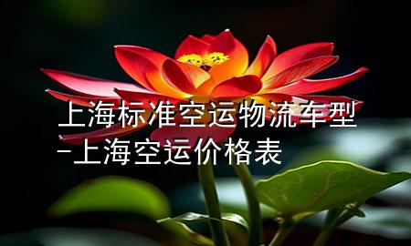 上海标准空运物流车型-上海空运价格表