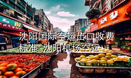 沈阳国际空运出口收费标准-沈阳机场空运