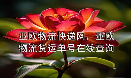 亚欧物流快递网,亚欧物流货运单号在线查询