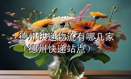 德州快递物流有哪几家(德州快递站点)