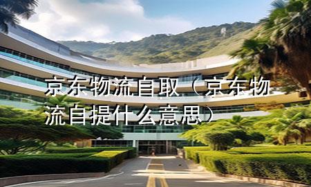 京东物流 自取（京东物流自提什么意思）