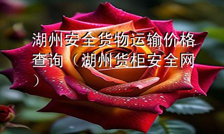 湖州安全货物运输价格查询(湖州货柜安全网)