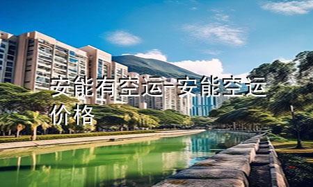 安能有空运-安能空运价格