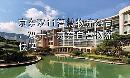京东双11智慧物流公司，双十一京东自营物流快吗