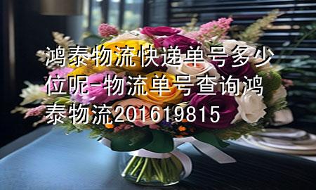鸿泰物流快递单号多少位呢-物流单号查询鸿泰物流201619815