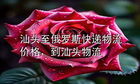 汕头至俄罗斯快递物流价格,到汕头物流
