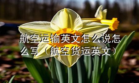 航空运输英文怎么说怎么写(航空货运英文)