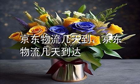 京东物流几天到，京东物流几天到达