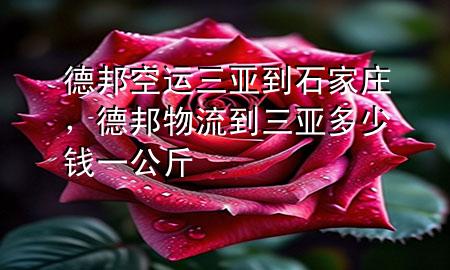 德邦空运三亚到石家庄,德邦物流到三亚多少钱一公斤