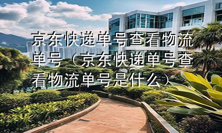 京东快递单号查看物流单号（京东快递单号查看物流单号是什么）
