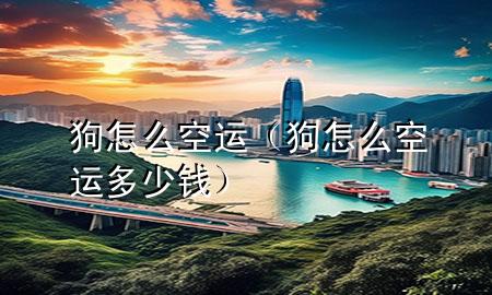 狗怎么空运（狗怎么空运多少钱）