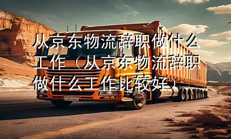 从京东物流辞职做什么工作（从京东物流辞职做什么工作比较好）