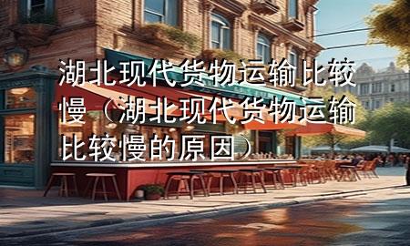 湖北现代货物运输比较慢(湖北现代货物运输比较慢的原因)