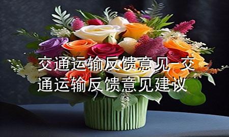 交通运输反馈意见-交通运输反馈意见建议