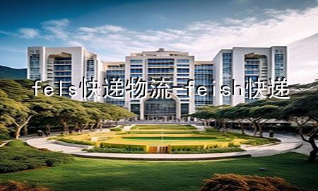fels快递物流-feish快递