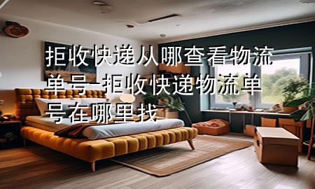 拒收快递从哪查看物流单号-拒收快递物流单号在哪里找