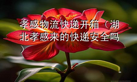 孝感物流快递开箱（湖北孝感来的快递安全吗）