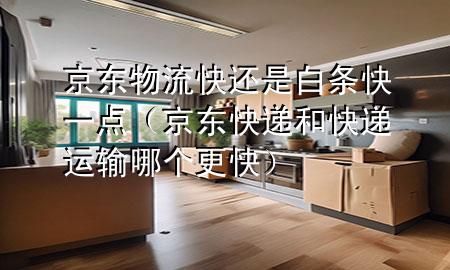 京东物流快还是白条快一点（京东快递和快递运输哪个更快）