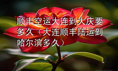 顺丰空运大连到大庆要多久(大连顺丰陆运到哈尔滨多久)