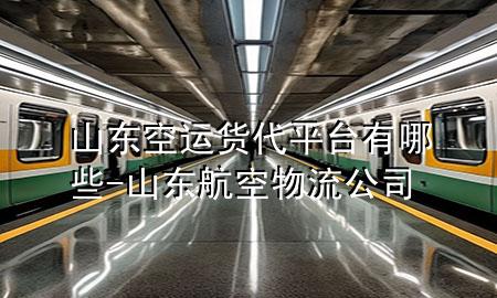 山东空运货代平台有哪些-山东航空物流公司