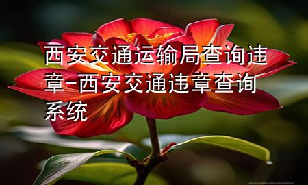 西安交通运输局查询违章-西安交通违章查询系统