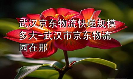 武汉京东物流快递规模多大-武汉市京东物流园在那