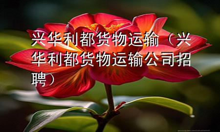 兴华利都货物运输(兴华利都货物运输公司招聘)