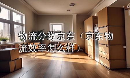 物流分数京东(京东物流效率怎么样)