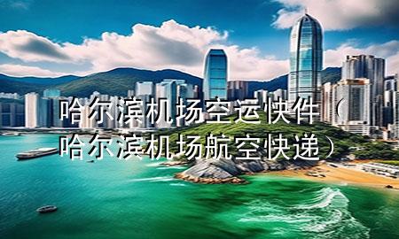 哈尔滨机场空运快件(哈尔滨机场航空快递)