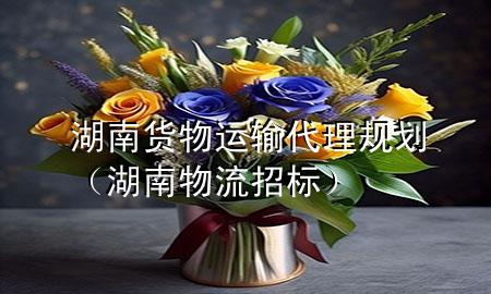 湖南货物运输代理规划（湖南物流招标）