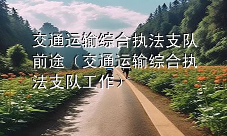 交通运输综合执法支队前途(交通运输综合执法支队工作)