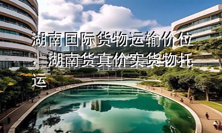 湖南国际货物运输价位,湖南货真价实货物托运