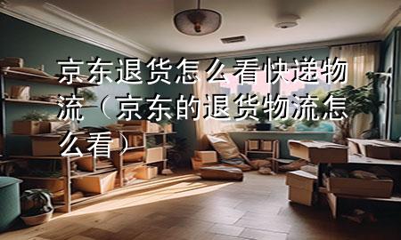 京东退货怎么看快递物流（京东的退货物流怎么看）