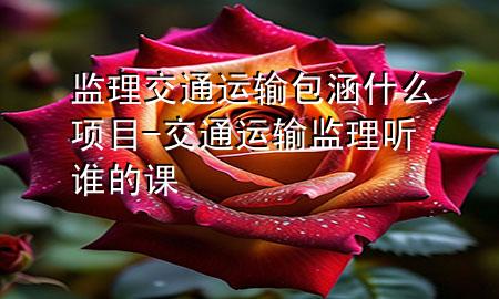 监理交通运输包涵什么项目-交通运输监理听谁的课
