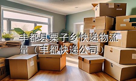 丰都县栗子乡快递物流量(丰都快递公司)