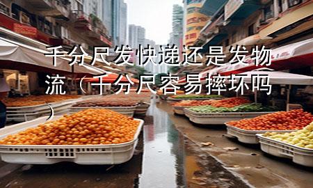 千分尺发快递还是发物流(千分尺容易摔坏吗)