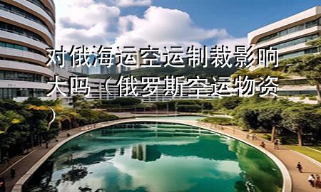 对俄海运空运制裁影响大吗(俄罗斯空运物资)