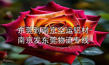 东莞到南京空运铝材-南京发东莞物流专线