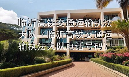 临沂高铁交通运输执法大队(临沂高铁交通运输执法大队电话号码)