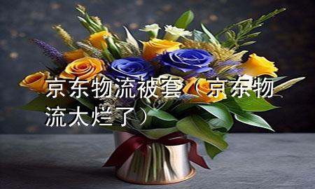 京东物流被套（京东物流太烂了）