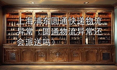 上海浦东圆通快递物流异常(圆通物流异常还会派送吗)