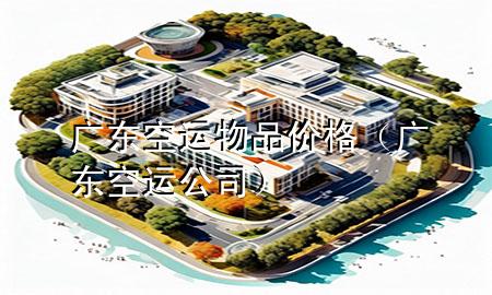 广东空运物品价格(广东空运公司)