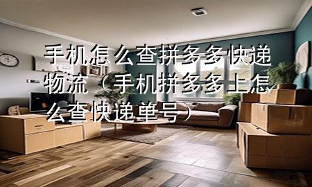 手机怎么查拼多多快递物流(手机拼多多上怎么查快递单号)